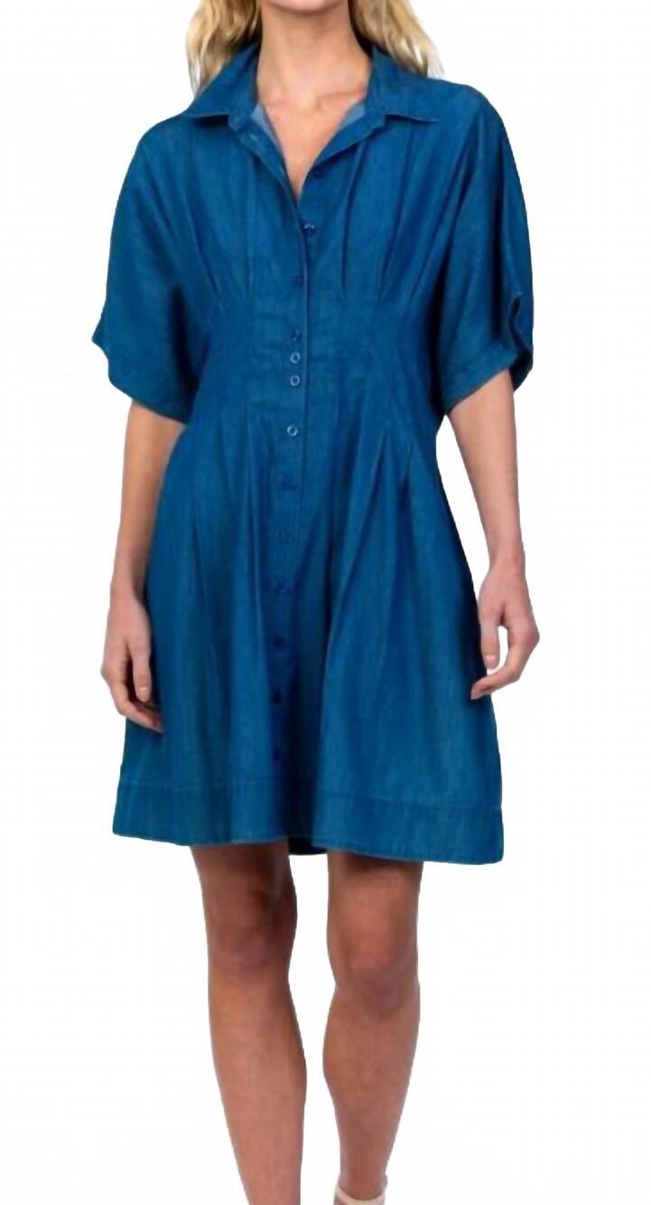 NEW TOLANI holden dress in azure